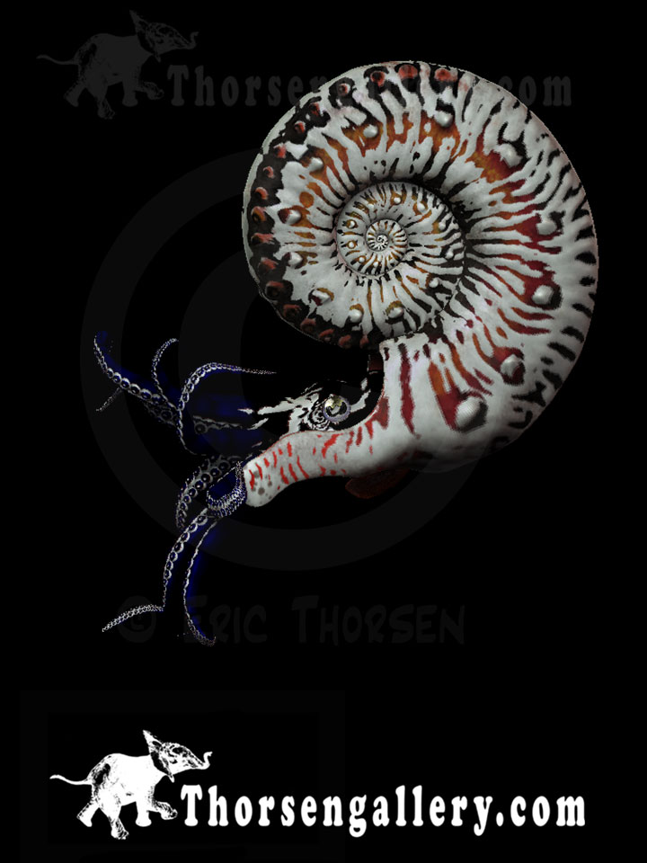  - Kosmoceras-by-Eric-Thorsen