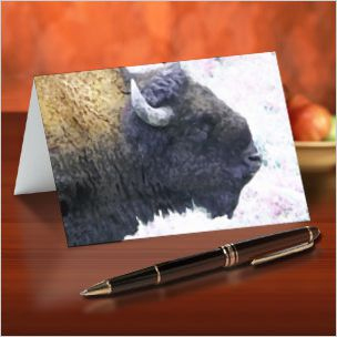 Greeting Cards Greeting Cards
