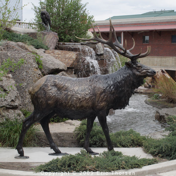 ericthorsen elk- bronze sculpture copyright-2009