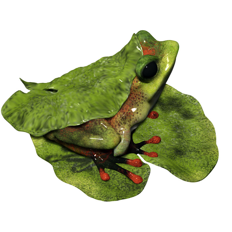 Bronze Frog Sculpture by Eric Thorsen