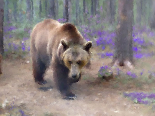 Grizzly Purple Flowers