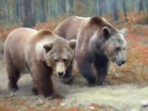 2 Grizzlys