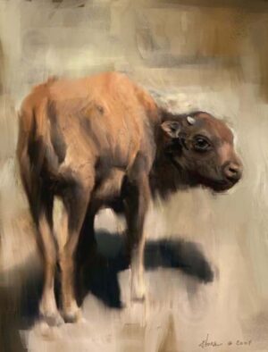 Art print of a young bison calf walking