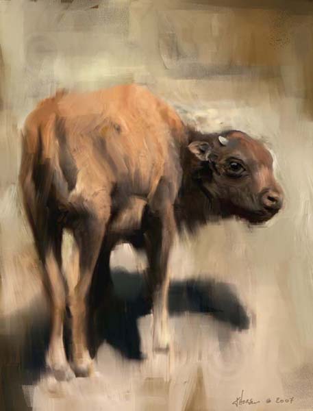 Bison Calf