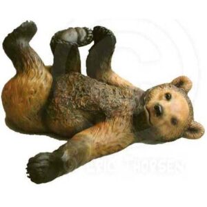 Grizzly Cub Playing