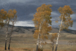 Aspen Landscape