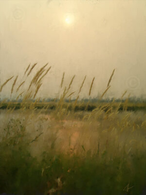 Evening Light