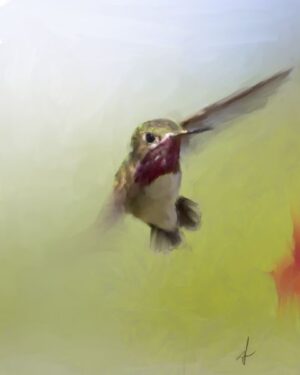 Art print of a calliope hummingbird in flight against a soft green background