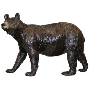 Ursa Minor, LS