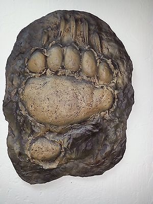 Grizzly Track with background