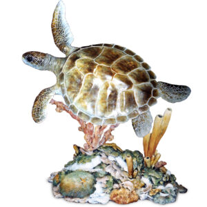 Hand-colored bronze green sea turtle swimming over a coral base