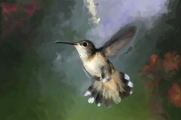 Hummingbird