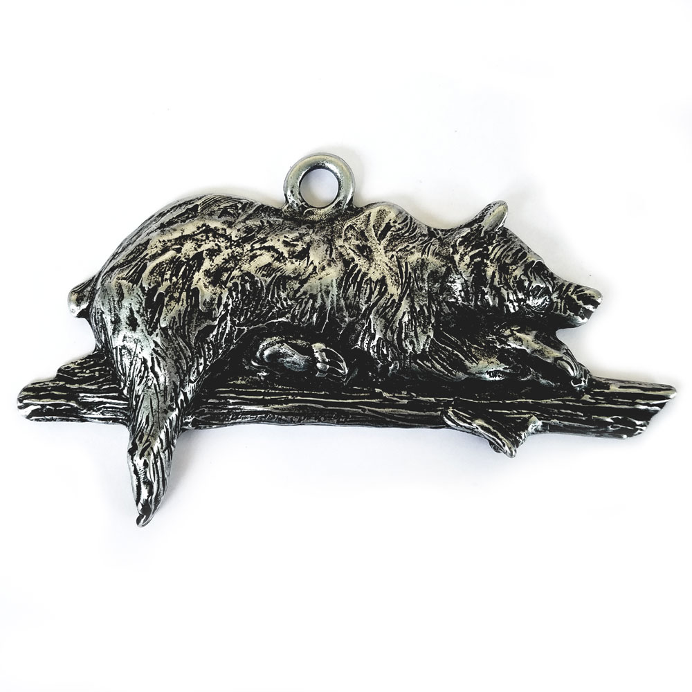 Grizzly Bear sleeping