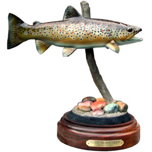 Little Brown Trout