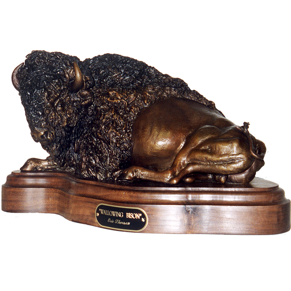 Wallowing Bison