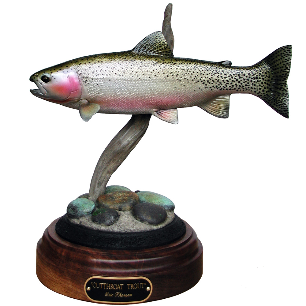 Little cutthroat -Westslope