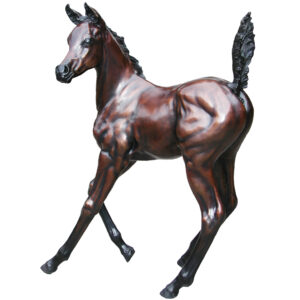 Arab Colt