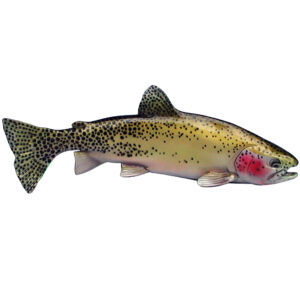 Hand-painted bronze cutthroat trout