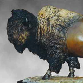 Bison