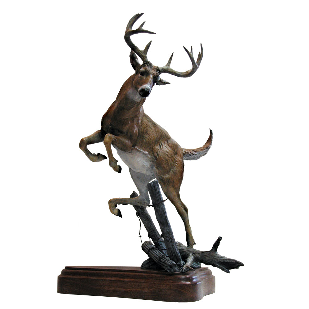 Montana Territory Boundaryline Buck