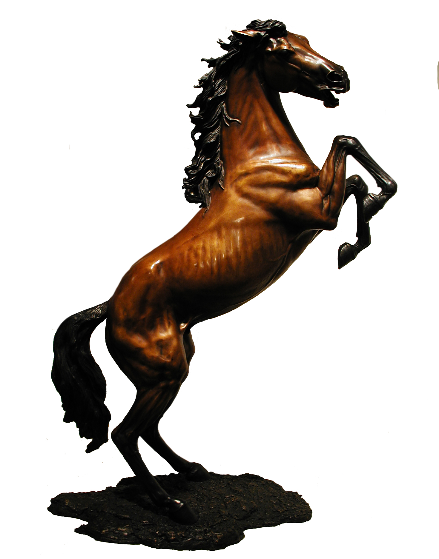 Eric Thorsen Gallery 4068374366