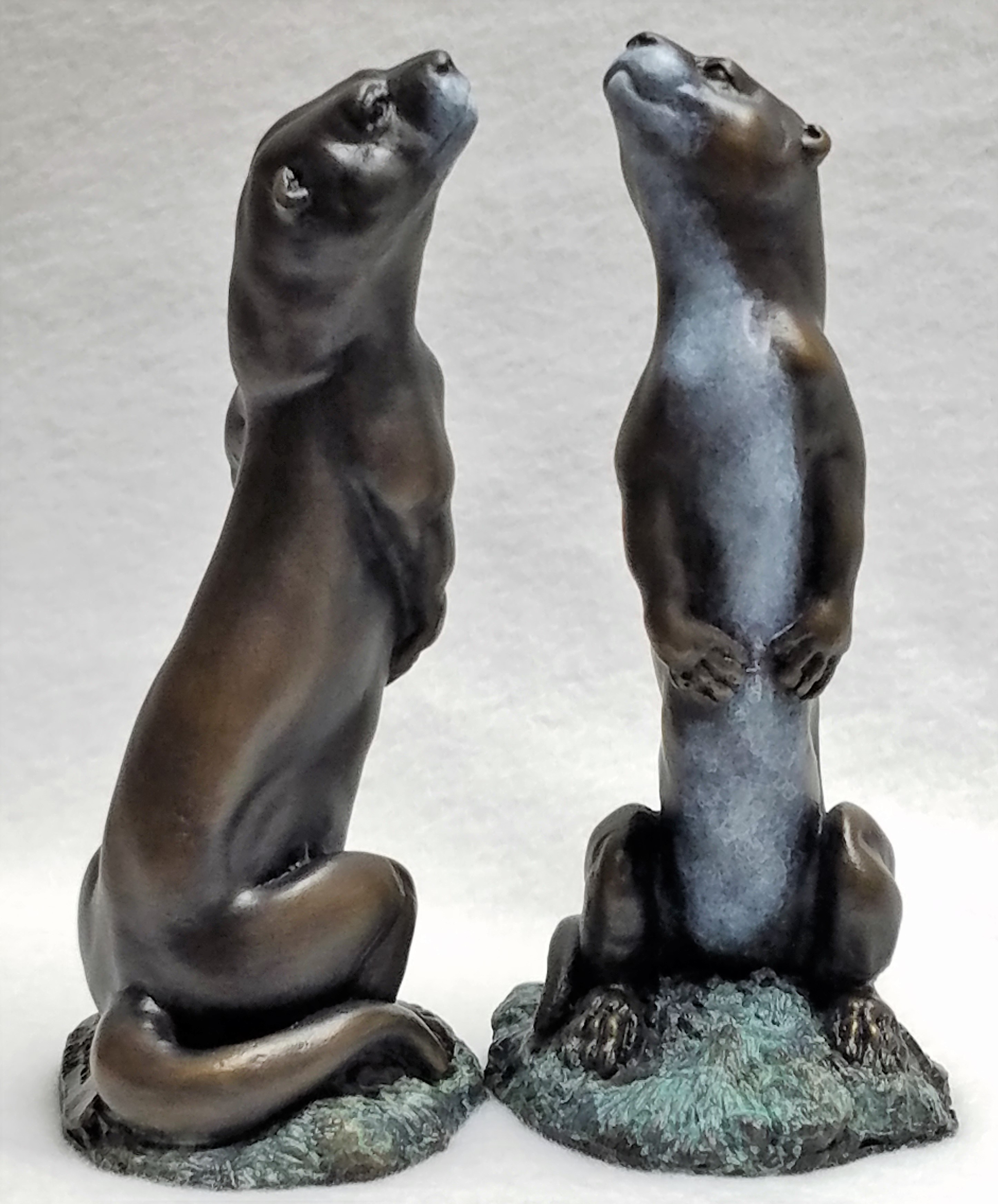 Miniature River Otter