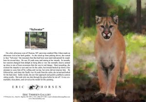 Sylvester the Cougar