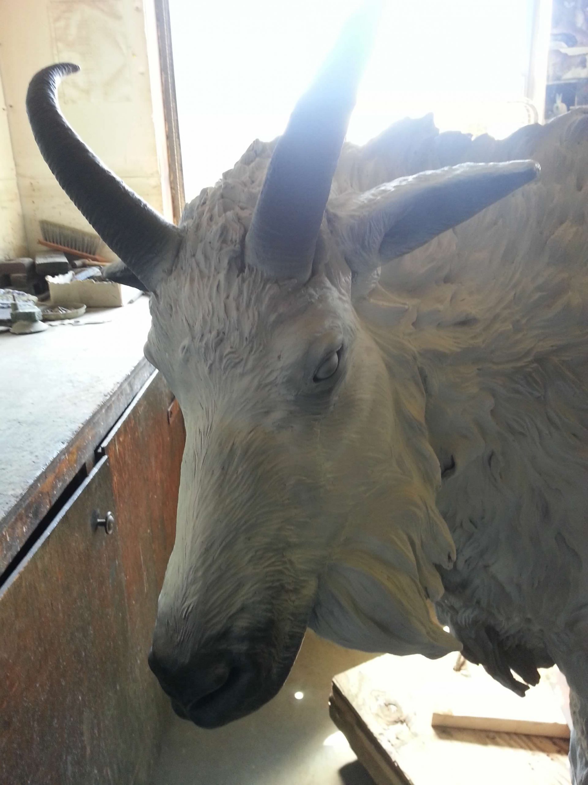 Close-up of the head and horns of the Rocky Mountain Nanny Goat sculpture in progress