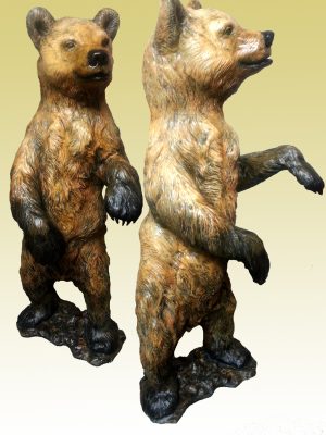 Cub Standing on hind legs