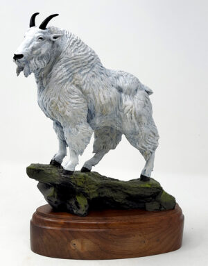 Rocky Mountain Goat