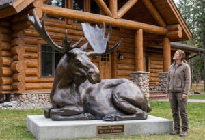 Moose Breaktime, a life-size bronze bull moose monument by Eric Thorsen, lying on a stone base beside a woman for scale