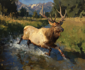Elk in the Shallows art print of a bull elk splashing through a meadow stream by Eric Thorsen