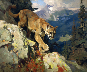 Ledge Walker art print of a mountain lion on a rocky ledge by Eric Thorsen