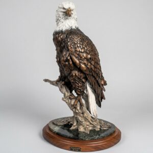 Our guardian - Bald Eagle