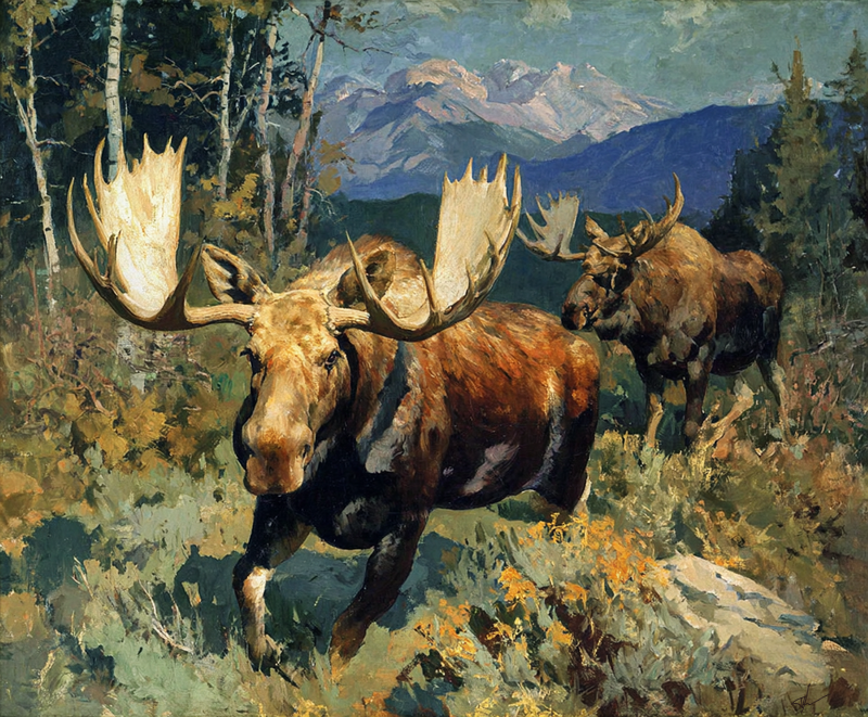 Meadow Bulls art print of two bull moose in a mountain meadow by Eric Thorsen